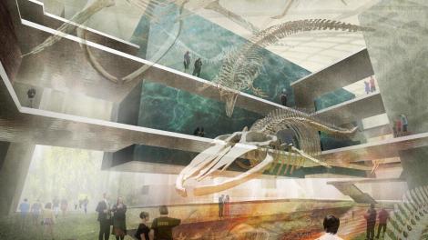 Artists impression of foyer space with whales